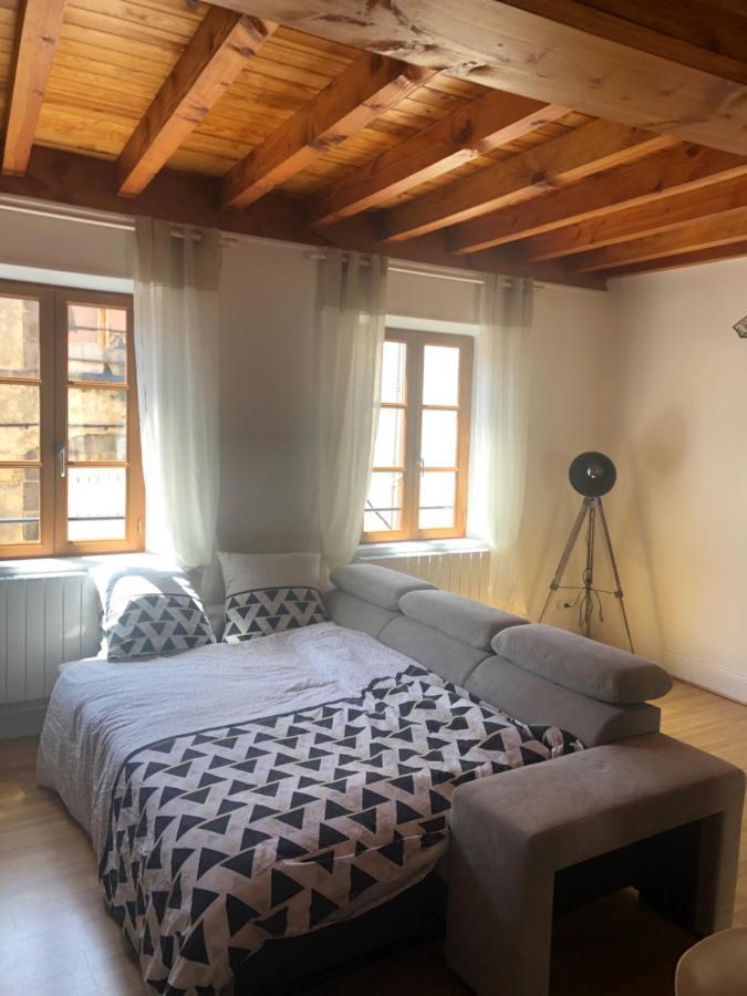Le Double Pirou # 2 Appartements # Halte Auvergne 티에르 외부 사진